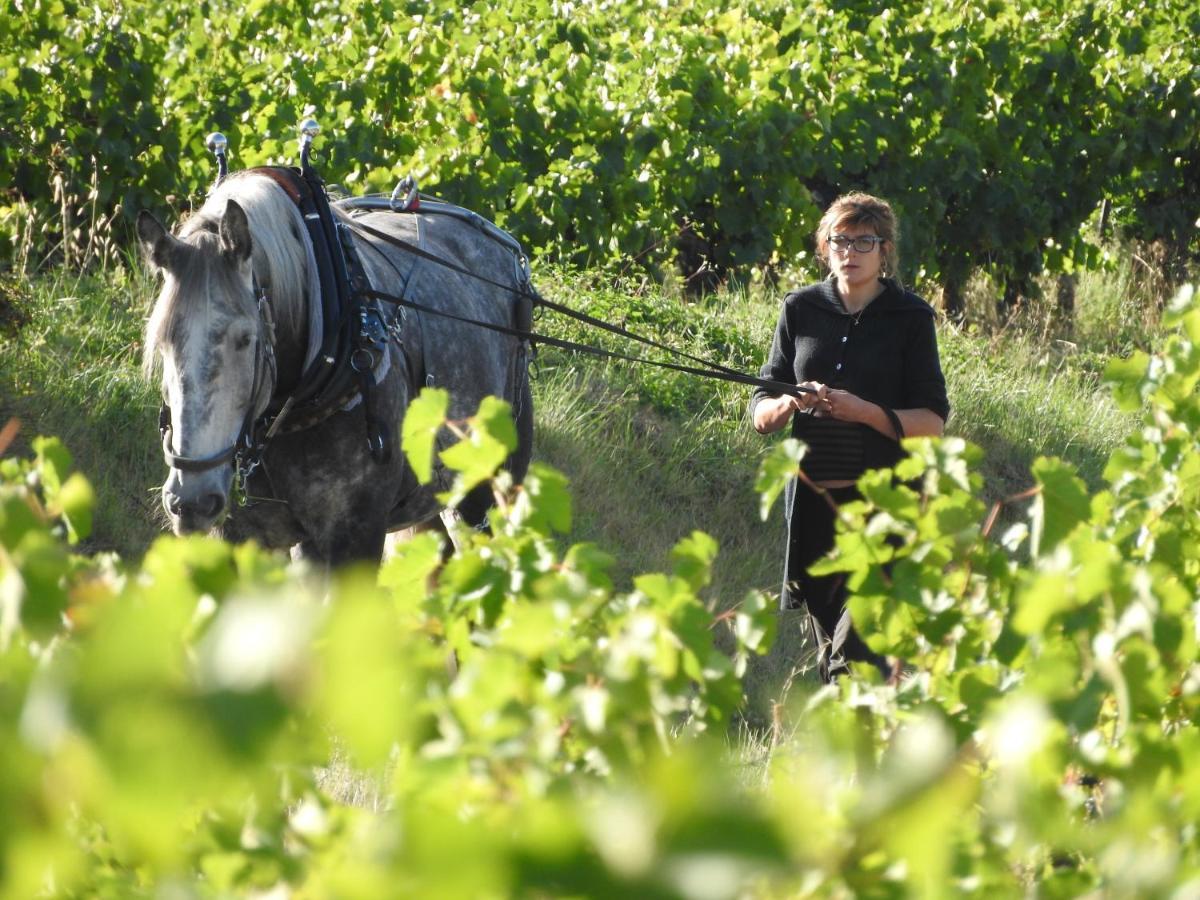 فندق Domaine Houillon Faucon  المظهر الخارجي الصورة